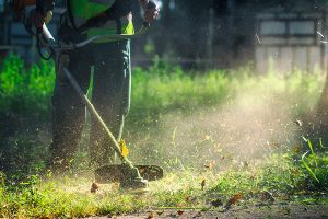 professional gardner strimming