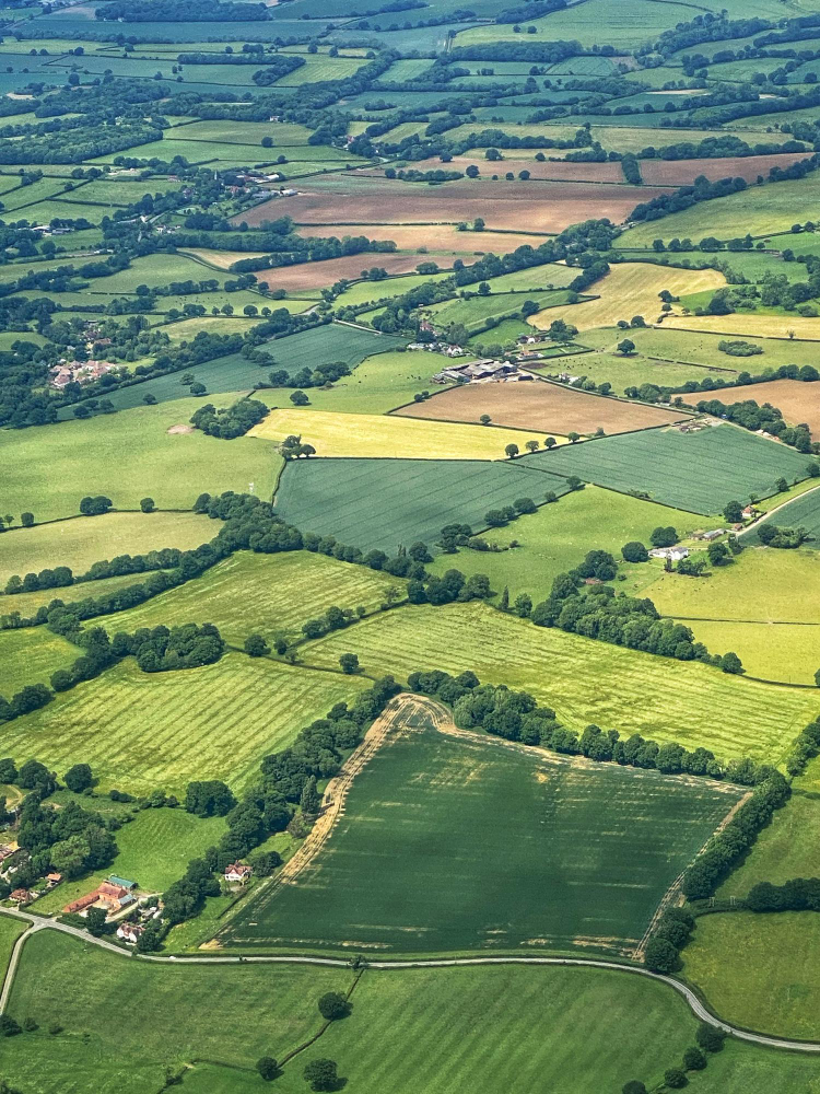 high angle view of agricultural field