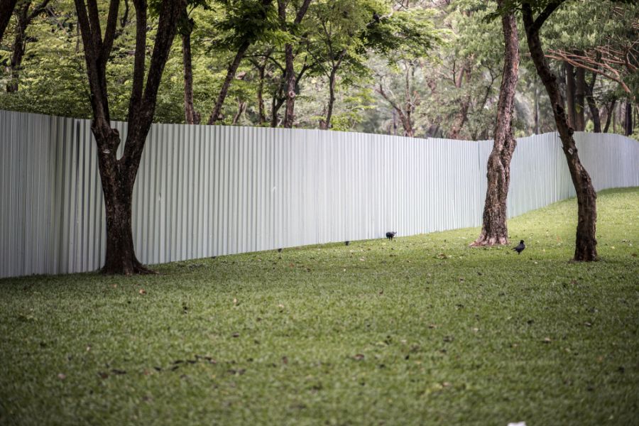 white fence  with trees