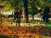 men blowing leaves