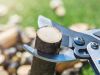 Tree & Shrub Pruning